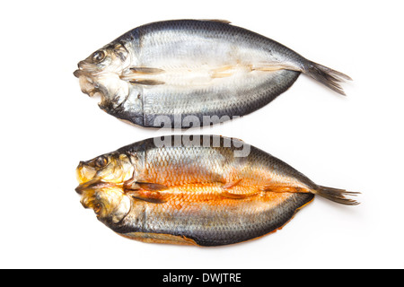 Teints et non teints kippers fumés écossais isolated on a white background studio. Banque D'Images