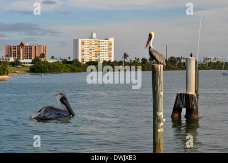 La plage de Clearwater en Floride Banque D'Images