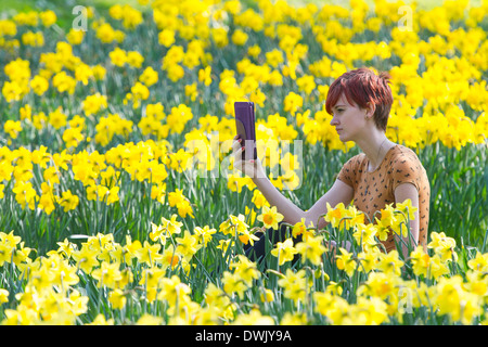 Une fille lit un livre électronique dans la campagne entourée de jonquilles Banque D'Images