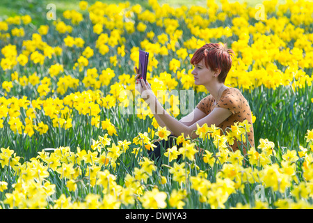 Une fille lit un livre électronique dans la campagne entourée de jonquilles Banque D'Images