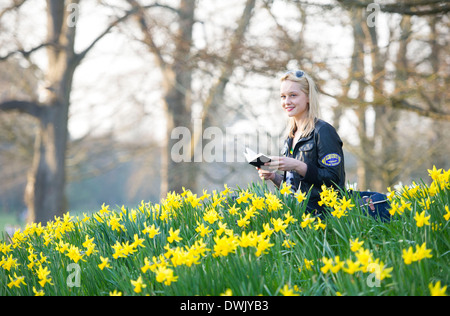 Une fille lire un livre tout en étant entouré par les jonquilles. Banque D'Images