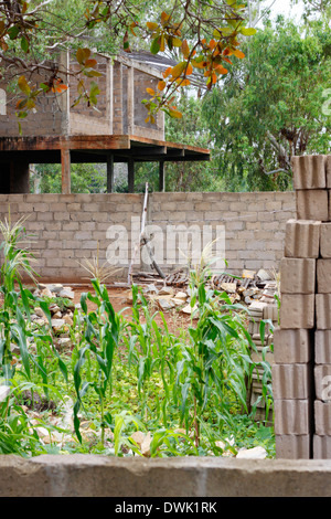 Maison en construction à la périphérie de la ville de Pemba, au nord du Mozambique. Banque D'Images