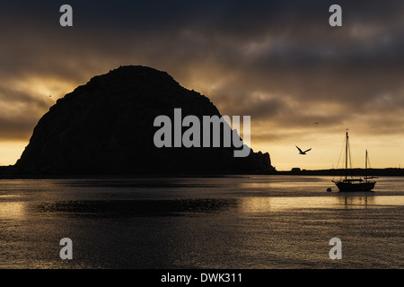 Des silhouettes d'oiseaux de l'île, voile et au coucher du soleil Banque D'Images