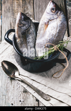 La brème poisson cru de remorquage avec le romarin et le sel de mer server en noir casserole ancienne table en bois. Voir la série Banque D'Images