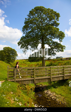 Femme marchant sur la passerelle près de randonneur Gilsland Mur d'Hadrien, Cumbria England Royaume-Uni Banque D'Images