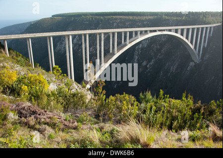 Rivière Bloukrans Bridge Banque D'Images