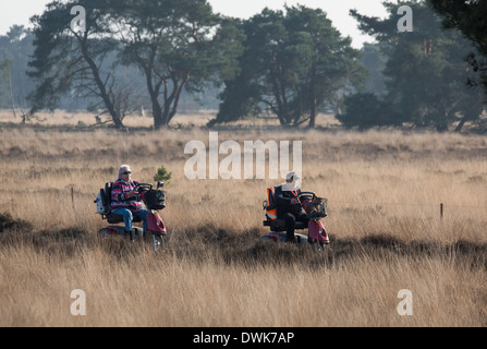 Couple de personnes âgées sur un voyage avec un fauteuil motorisé dans la nature (Strabrechtse Heide) aux Pays-Bas Banque D'Images