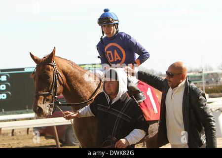 La Jamaïque, New York, USA. 1er mars 2014. Strapping marié d'Irad Ortiz, Jr. sont gagnants dans la 39ème édition de la Tom Fool Handicap pour 3 ans et plus, VA 6 furlongs sur l'intérieur de la terre, à l'hippodrome Aqueduct. Formateur : David Jacobson. Propriétaire : Dessin Voiture Stable & David Jacobson. © Sue Kawczynski/Eclipse/ZUMAPRESS.com/Alamy Live News Banque D'Images