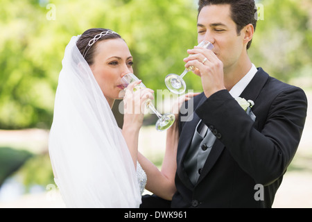 Senior couple drinking champagne Banque D'Images