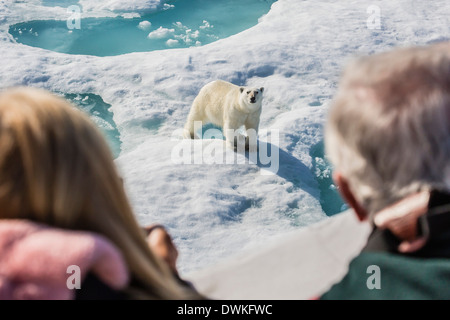 Les clients de l'Lindblad navire d'expédition avec l'ours polaire (Ursus maritimus), la péninsule de Cumberland, l'île de Baffin, Nunavut, Canada Banque D'Images