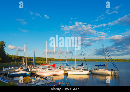 Wigry Lake, parc national de Wigry, Pologne, Europe Banque D'Images