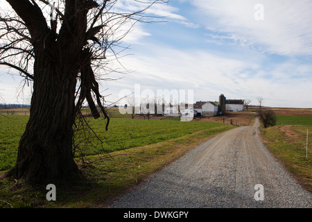 Un Amish Farm, Delaware, États-Unis d'Amérique, Amérique du Nord Banque D'Images