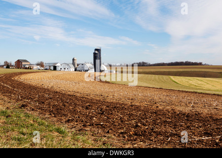 Un Amish Farm, Delaware, États-Unis d'Amérique, Amérique du Nord Banque D'Images