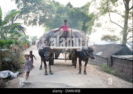 Les enfants du village passent devant un homme debout sur la charrette chargée de sisal, dans village-rue, Bhogerpar, en France Banque D'Images