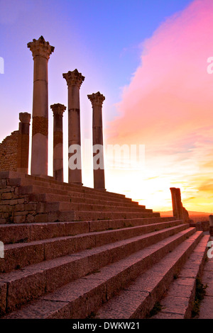 Ville romaine d'excavation, Volubilis, UNESCO World Heritage Site, Maroc, Afrique du Nord, Afrique Banque D'Images