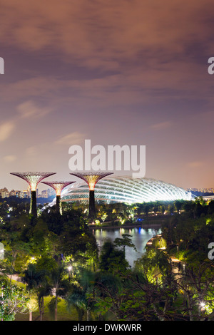 Gardens by the Bay Cloud Forest Botanic Garden, à Singapour, en Asie du Sud-Est, l'Asie Banque D'Images
