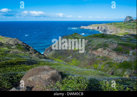 La côte sauvage de l'ouest de Maui, Hawaï, États-Unis d'Amérique, du Pacifique Banque D'Images