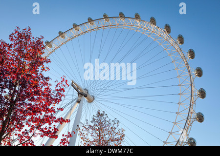 Le London Eye sur une journée ensoleillée, Londres, Angleterre, Royaume-Uni, Europe Banque D'Images