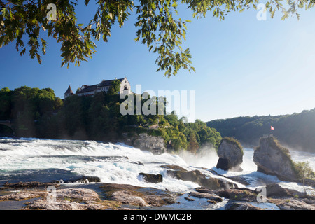 Chutes du Rhin (Rheinfall) cascades avec Schloss Laufen château, Neuhausen près de Schaffhausen, canton de Schaffhouse, Suisse Banque D'Images