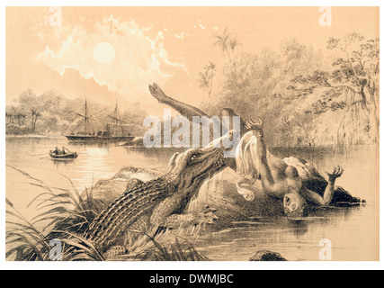 Un incident effroyable Banque D'Images