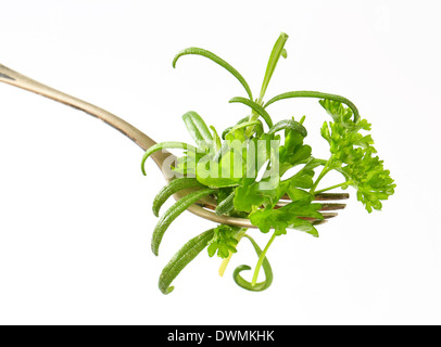 Tiges de fines herbes fraîches sur fourche Banque D'Images