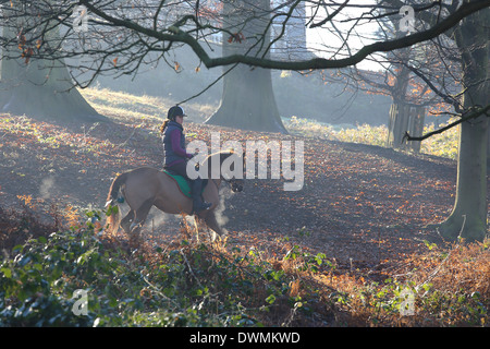 Horse Rider à Richmond Park, Surrey, Angleterre Banque D'Images