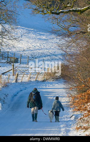 Un homme et garçon avec un chien à pied le long d'un couloir de neige, Newbridge-on-Wye, Powys, Pays de Galles, Royaume-Uni, Europe Banque D'Images