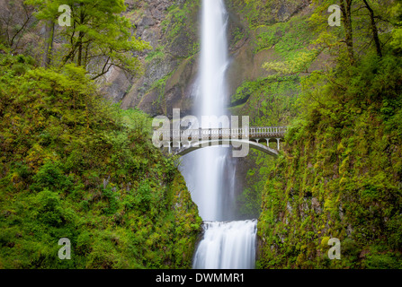 Multnomah Falls dans la gorge du Columbia près de Portland, Oregon, USA Banque D'Images