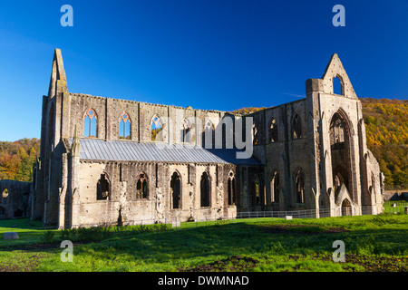 Abbaye de Tintern, vallée de la Wye, Monmouthshire, Pays de Galles, Royaume-Uni, Europe Banque D'Images