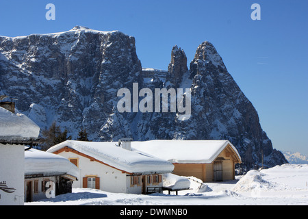 Seiser Alm / Alpe di Siusi, le Tyrol du Sud / Alto Adige, Italie Banque D'Images