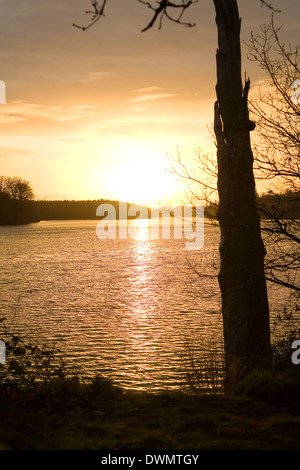 Clumber Park au coucher du soleil Banque D'Images