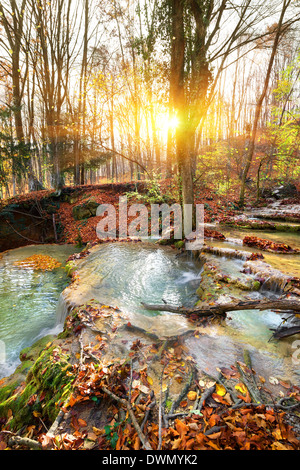 Rivière Cascade Mountain dans une forêt en automne Banque D'Images