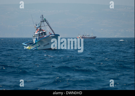 Petits bateaux de pêche à l'ouest du Maroc. Thon rouge de l'Atlantique Banque D'Images