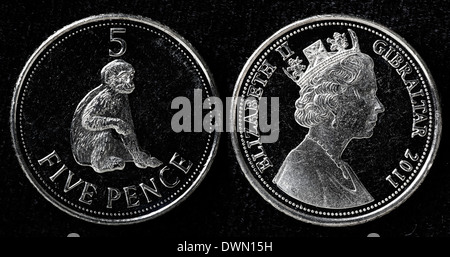 Pièce de 5 pence, Gibraltar, 2011 Banque D'Images