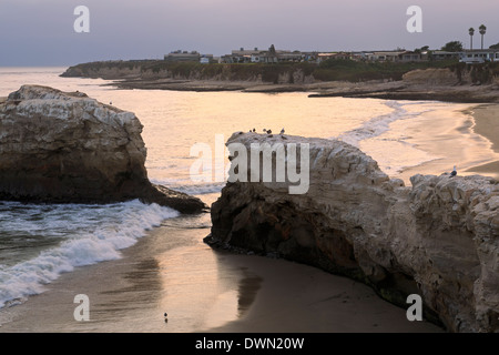 Natural Bridges State Park, Santa Cruz, Californie, États-Unis d'Amérique, Amérique du Nord Banque D'Images