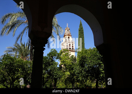 Abd er-Rahman III Minaret, la tour de la mosquée et de la Cathédrale de Cordoue, et Patio de los Naranjas, Cordoue, Andalousie, Espagne Banque D'Images