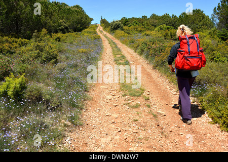 La Marche des pèlerins sur le chemin de Jacques, Saint Guilhem le Désert, Hérault, Languedoc, France, Europe Banque D'Images