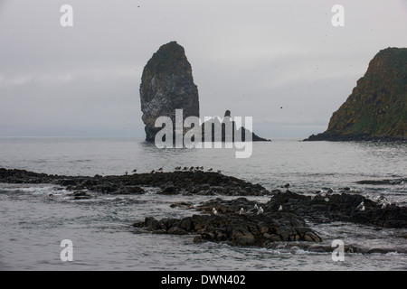 Grand monolithe sur la baie d'Avacha près de Petropavlovsk-kamtchatski, du Kamtchatka, la Russie, l'Eurasie Banque D'Images