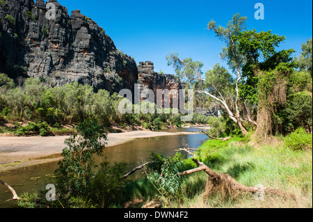 Les Kimberleys Windjana Gorge, dans l'ouest de l'Australie, l'Australie, du Pacifique Banque D'Images