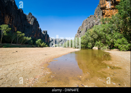 Les Kimberleys Windjana Gorge, dans l'ouest de l'Australie, l'Australie, du Pacifique Banque D'Images