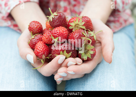 De gros plan femme mains tenant les fraises fraîchement cueillies Banque D'Images