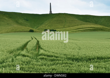 Un champ de blés verts ci-dessous le monument Lansdowne près de Vega dans le Wiltshire avec les agriculteurs une ferrée s'il. Banque D'Images