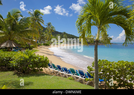 Baie d'Eretmochelys imbricata et de la Plage, Saint John's, Antigua, Iles sous le vent, Antilles, Caraïbes, Amérique Centrale Banque D'Images