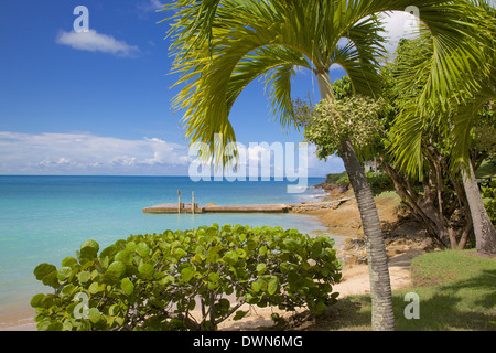 Saint John's, Antigua, Iles sous le vent, Antilles, Caraïbes, Amérique Centrale Banque D'Images