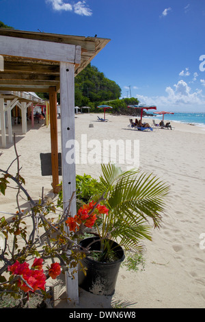 Plage de Darkwood, Saint John's, Antigua, Iles sous le vent, Antilles, Caraïbes, Amérique Centrale Banque D'Images