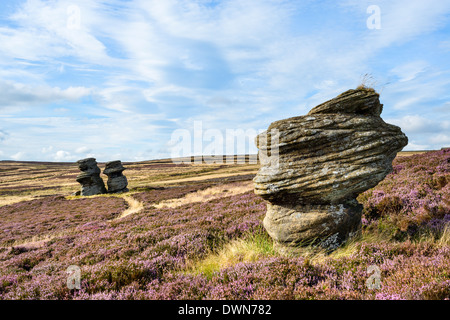 Femme et fille, formations de pierre meulière sur heather couverts moors, la Nidderdale, Yorkshire du Nord, Yorkshire, Angleterre, Royaume-Uni Banque D'Images