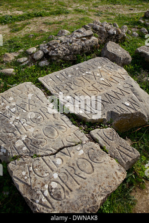 La sculpture sur pierre sur le site archéologique romain, Volubilis, Site de l'UNESCO, la région de Meknès, Maroc, Afrique du Nord, Afrique Banque D'Images
