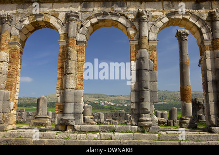 Site archéologique romain, Volubilis, Site du patrimoine mondial de l'UNESCO, la région de Meknès, Maroc, Afrique du Nord, Afrique Banque D'Images