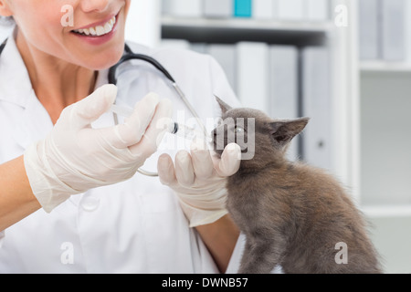 Médecine vétérinaire chat donner par la bouche Banque D'Images