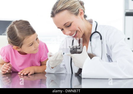 Médecine vétérinaire chat donner par la bouche Banque D'Images